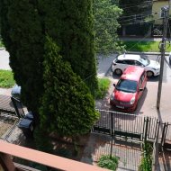 Lokal na wynajem