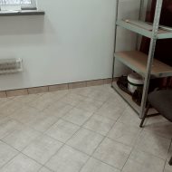 Lokal na wynajem